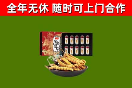 太和区烟酒回收冬虫夏草礼盒.jpg
